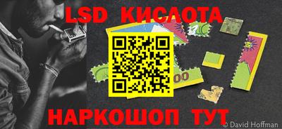 стафф Лесосибирск