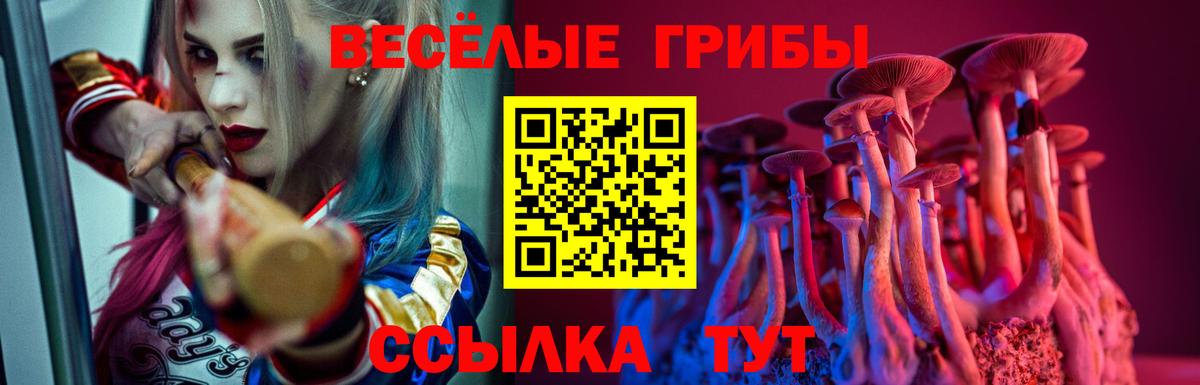 Галлюциногенные грибы ЛСД Дедовск