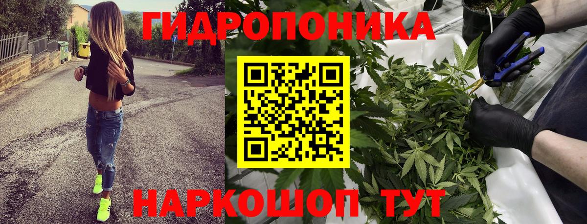 Бошки марихуана планчик Дедовск